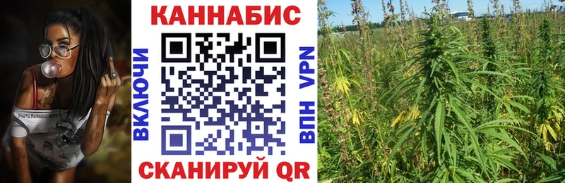 OMG как зайти  Александровск  Бошки марихуана марихуана 